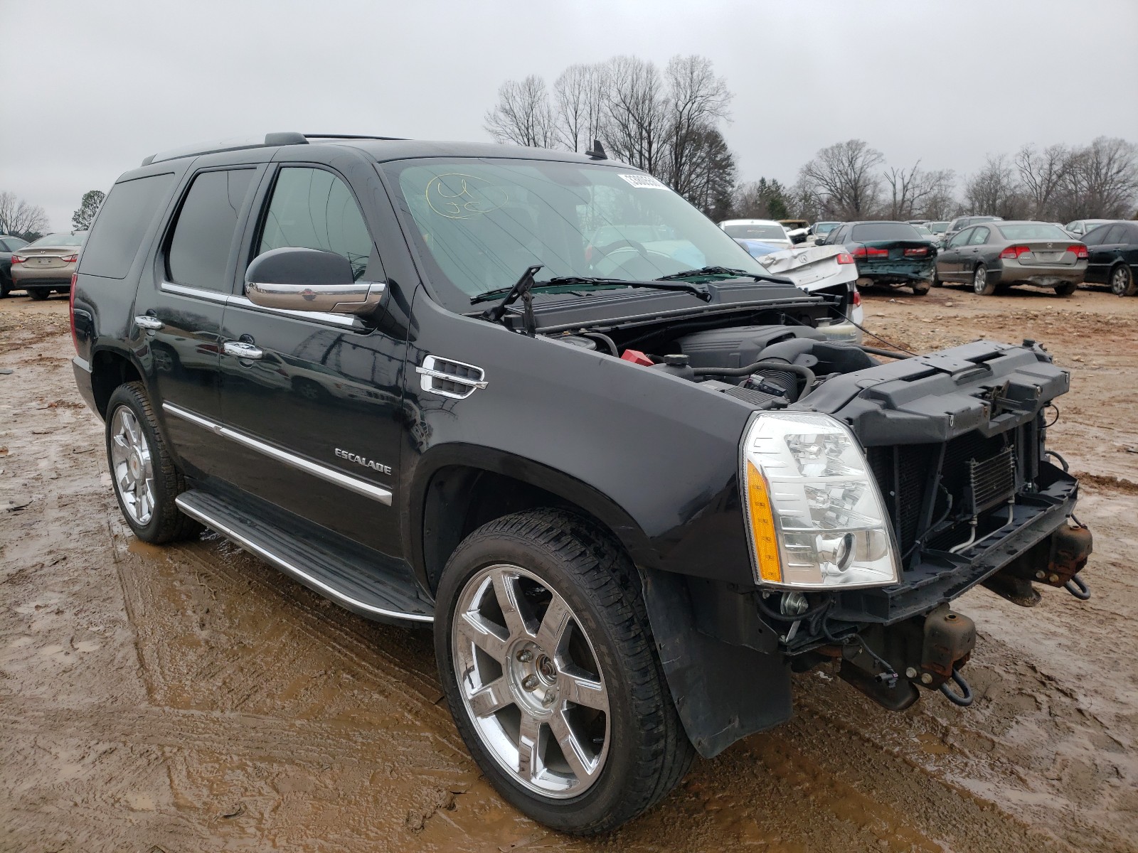 Cadillac Escalade l (2013)