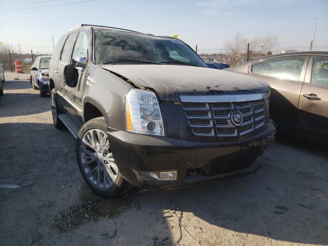Cadillac Escalade l (2010)