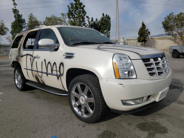 Cadillac Escalade h (2010)