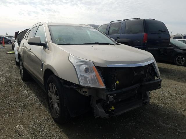 Cadillac Srx luxury (2010)