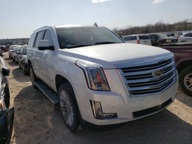 Cadillac Escalade p (2019)