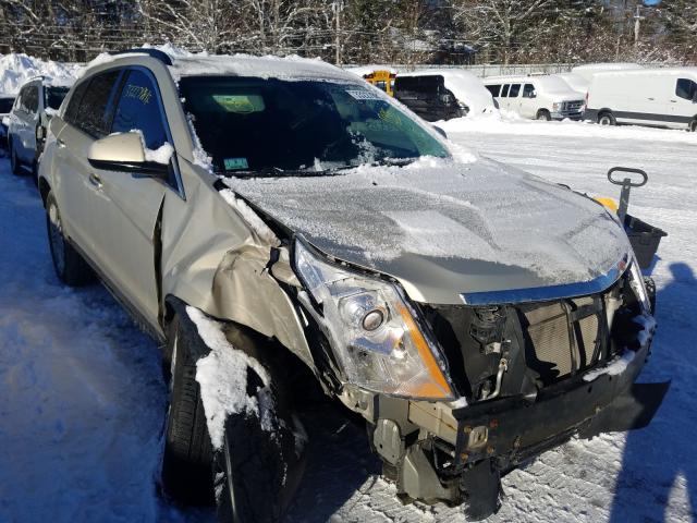 Cadillac Srx (2012)