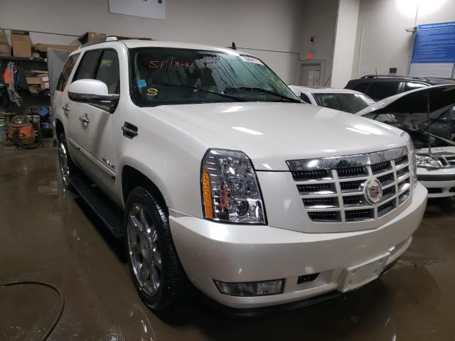 Cadillac Escalade p (2010)