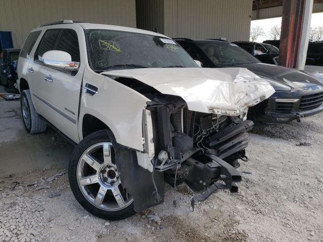 Cadillac Escalade p (2011)
