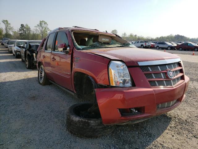 Cadillac Escalde (2012)