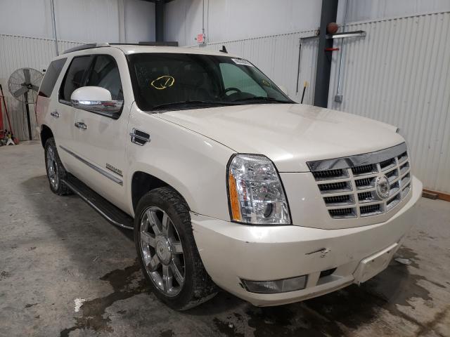 Cadillac Escalade (2011)