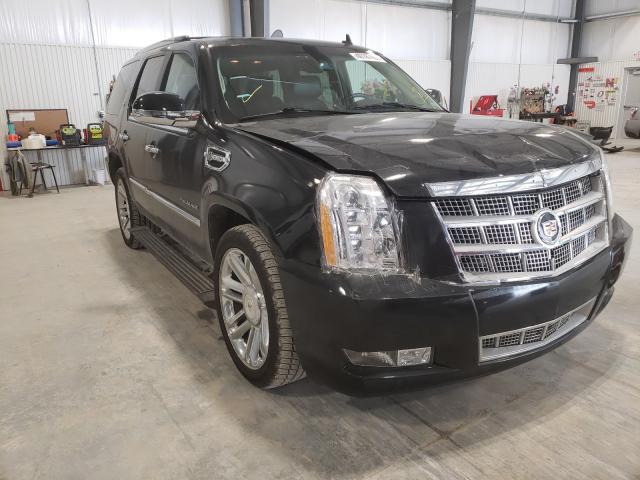 Cadillac Escalade hybrid (2011)