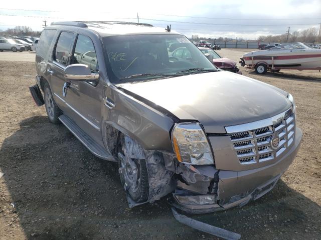 Cadillac Escalade l (2011)