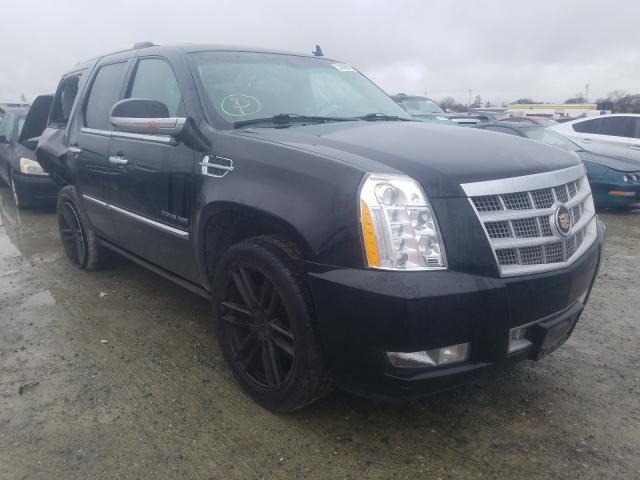Cadillac Escalade p (2014)