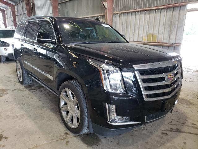 Cadillac Escalade p (2017)