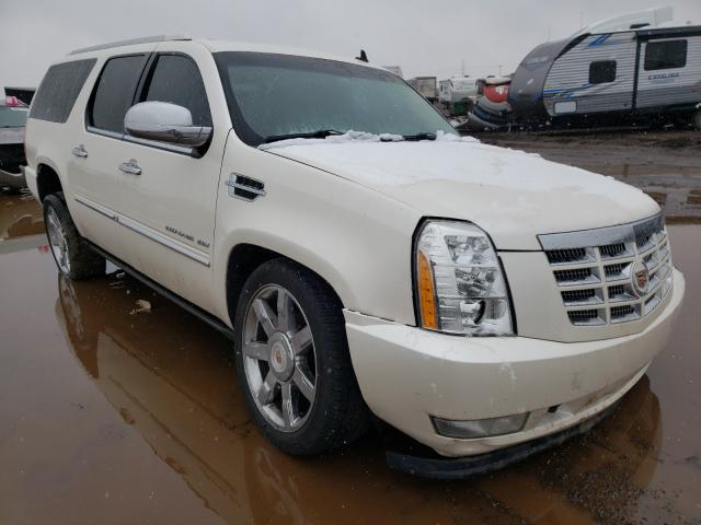 Cadillac Escalade e (2010)