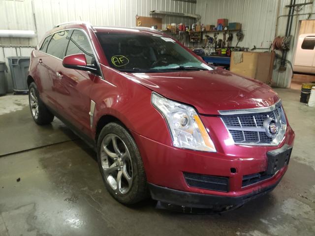 Cadillac Srx luxury (2011)