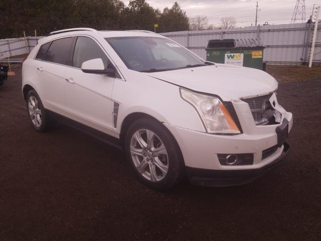 Cadillac Srx perfor (2010)