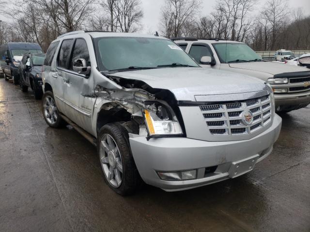 Cadillac Escalade p (2011)