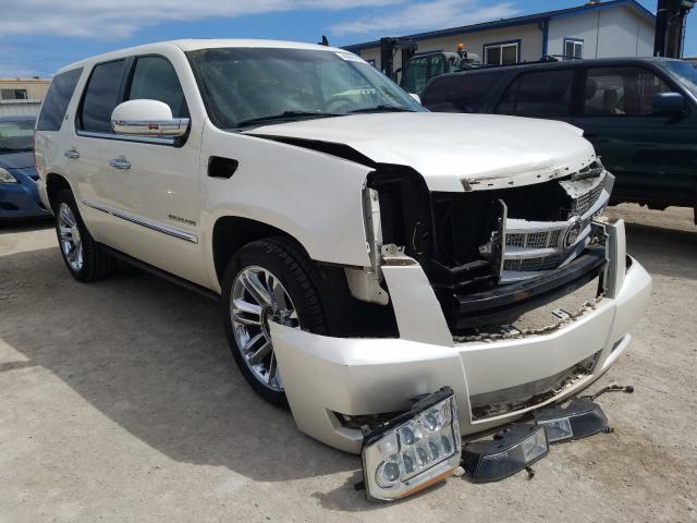 Cadillac Escalade p (2011)