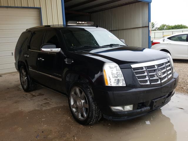 Cadillac Escalade p (2010)