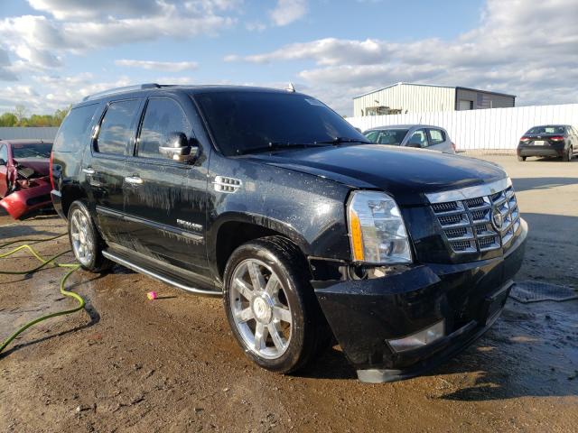 Cadillac Escalade l (2011)