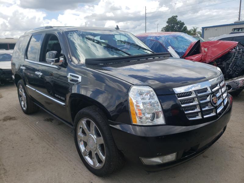 Cadillac Escalade h (2011)