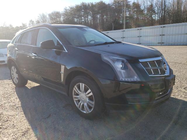 Cadillac Srx luxury (2010)