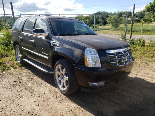 Cadillac Escalade h (2011)