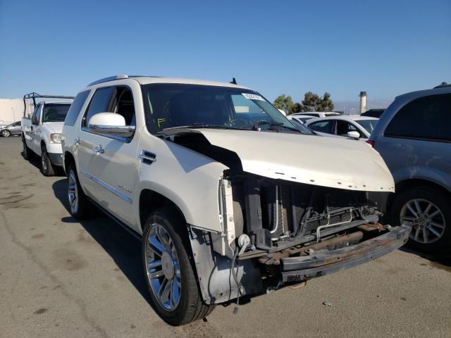 Cadillac Escalade p (2011)