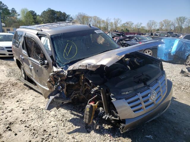 Cadillac Escalade p (2011)