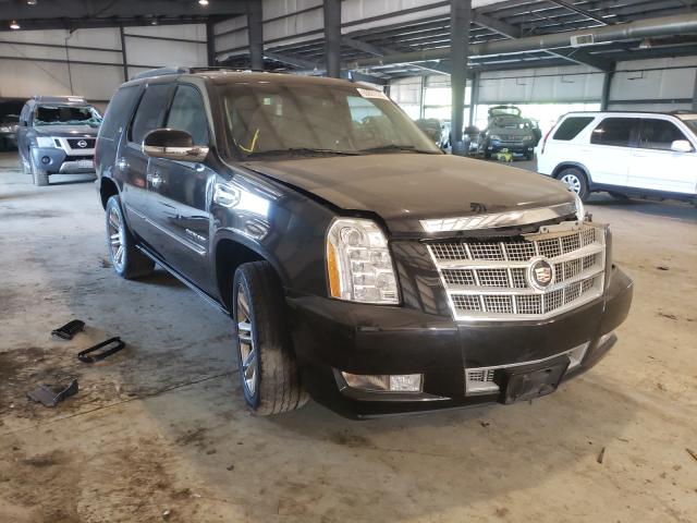 Cadillac Escalade p (2012)