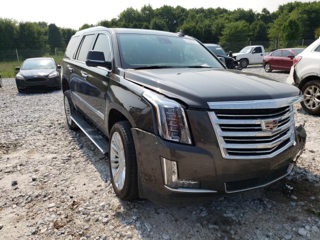 Cadillac Escalade p (2020)