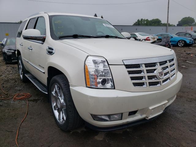 Cadillac Escalade h (2010)