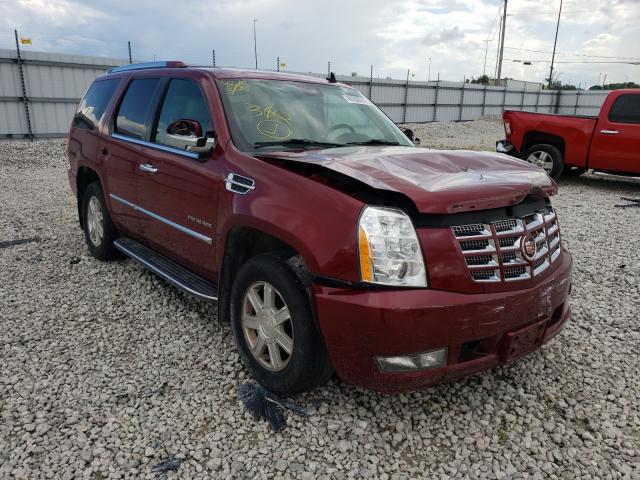 Cadillac Escalade (2010)