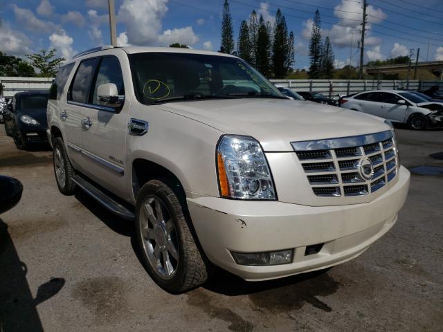 Cadillac Escalade h (2011)