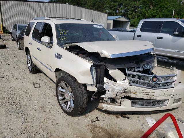 Cadillac Escalade p (2010)