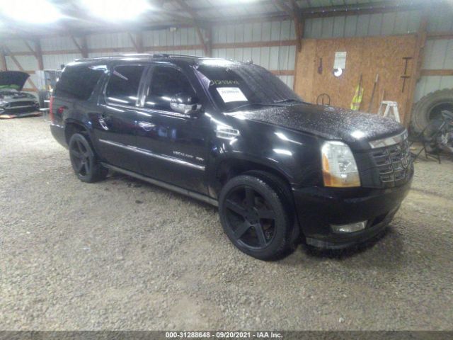 Cadillac Escalade esv (2011)