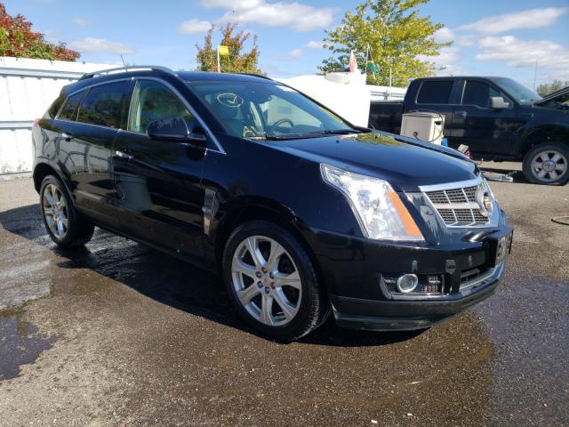 Cadillac Srx perfor (2011)