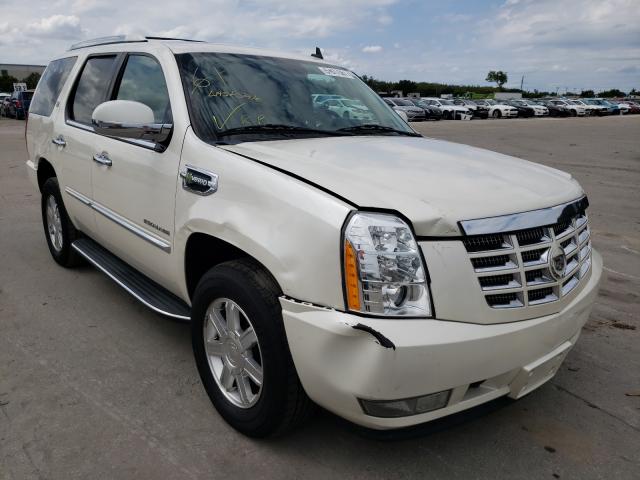 Cadillac Escalade h (2011)