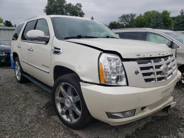 Cadillac Escalade h (2013)