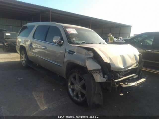 Cadillac Escalade esv (2011)