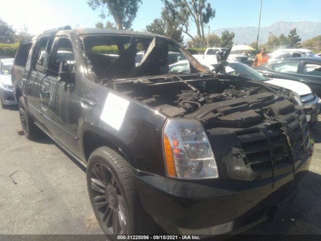 Cadillac Escalade esv (2011)