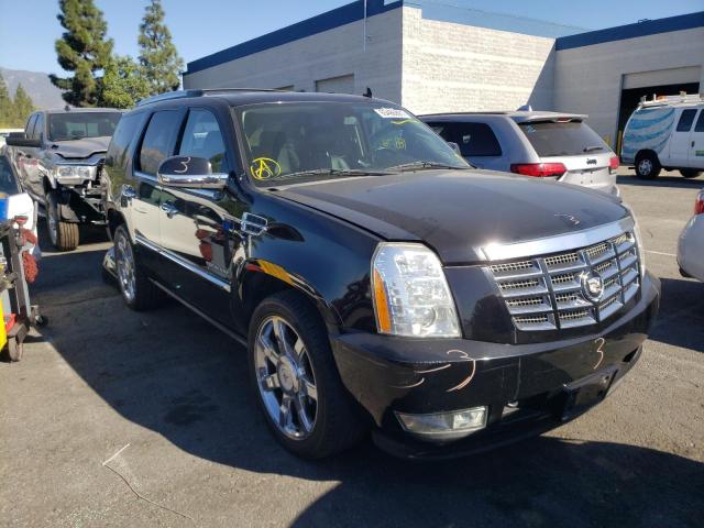 Cadillac Escalade (2010)