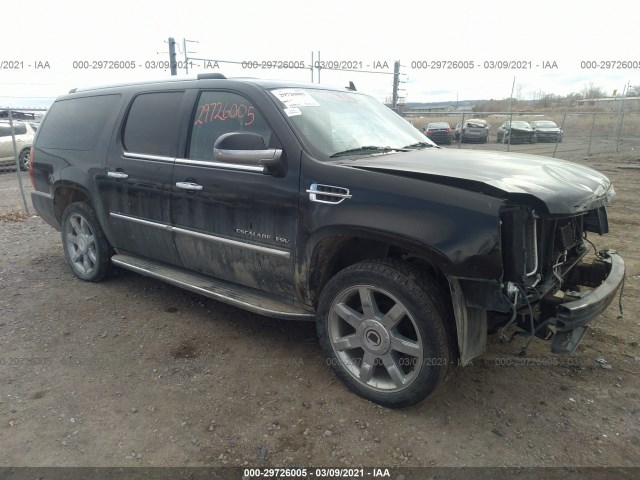 Cadillac Escalade esv (2010)