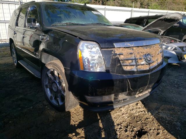 Cadillac Escalade h (2012)