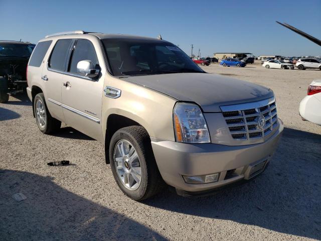 Cadillac Escalade h (2010)