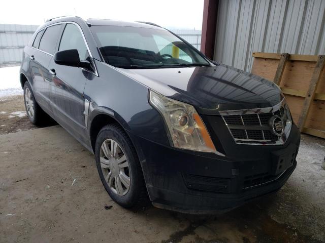 Cadillac Srx luxury (2010)