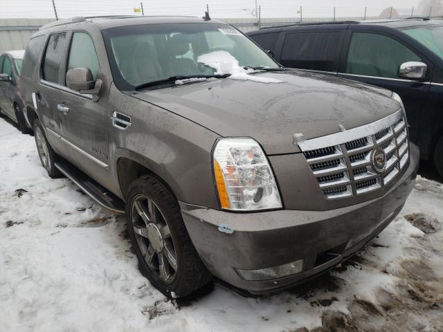 Cadillac Escalade l (2012)