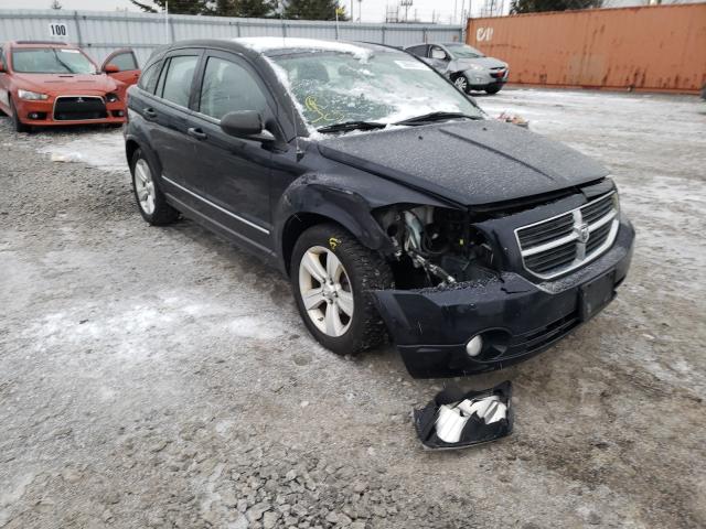 Dodge Caliber sx (2011)