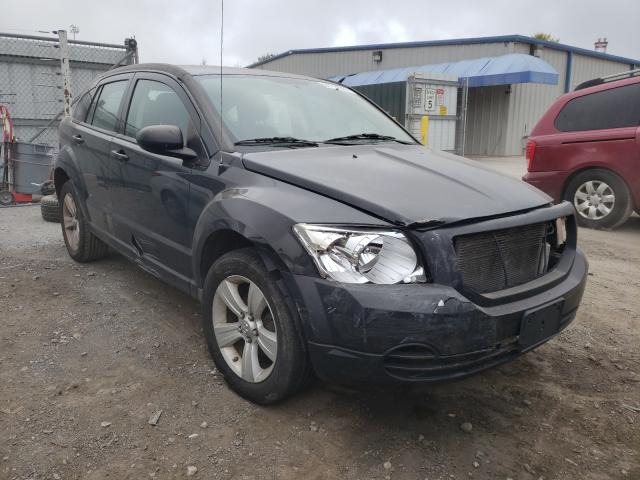 Dodge Caliber sx (2010)