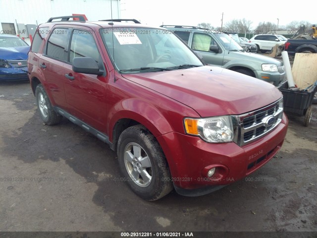 Ford Escape (2010)