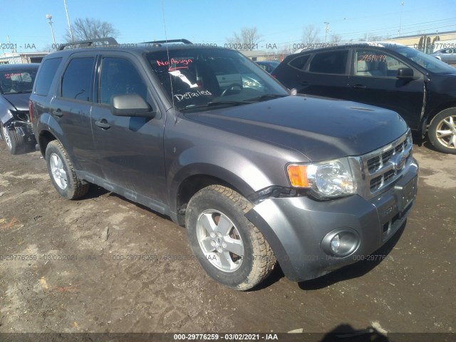 Ford Escape (2010)