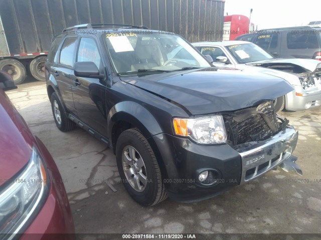 Ford Escape (2010)