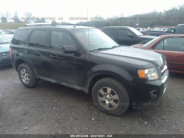 Ford Escape (2011)